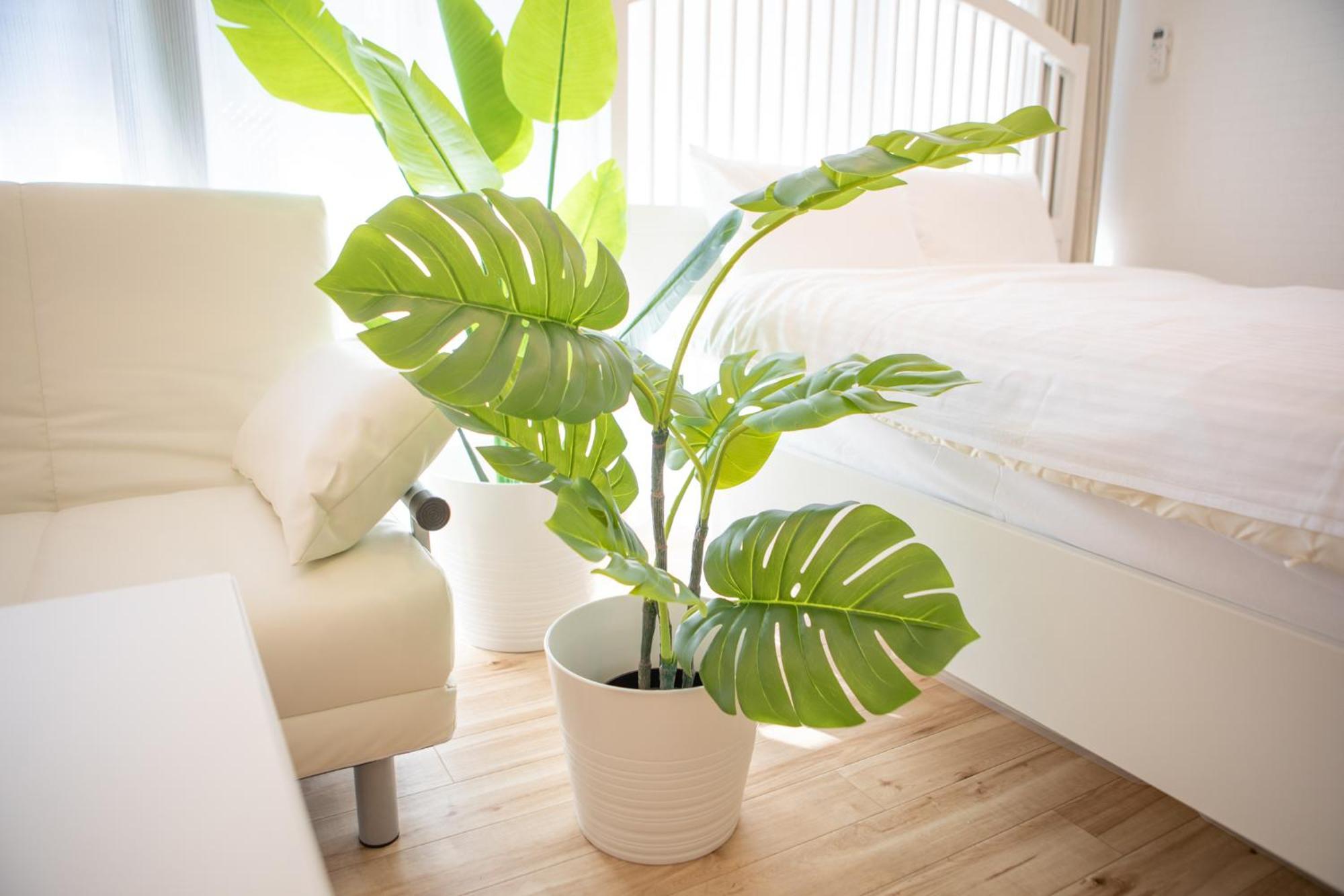 Komagome Cozy Room 도쿄 객실 사진